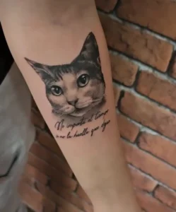 Tatuaje realista de gato en Constance Tattoo en Valdemoro