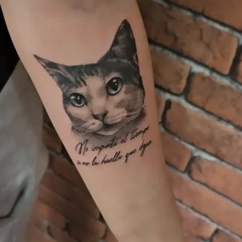 Tatuaje realista de gato en Constance Tattoo en Valdemoro Tatuaje realista de gato en Constance Tattoo en Valdemoro